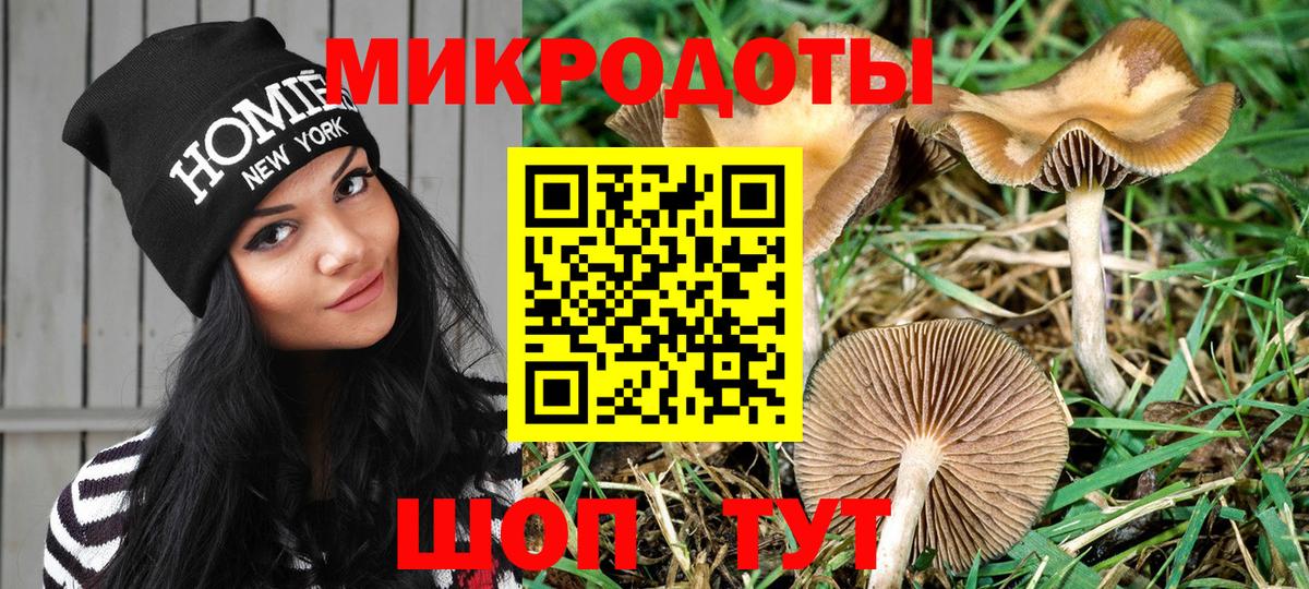 Галлюциногенные грибы мухоморы Кимовск