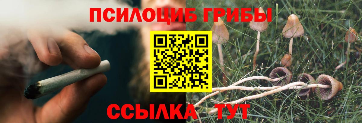 Псилоцибиновые грибы MAGIC MUSHROOMS  Вход с VPN  Псилоцибиновые грибы Cubensis  Кимовск 